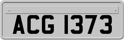 ACG1373
