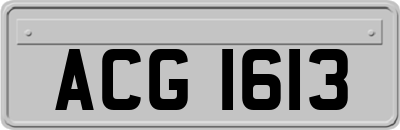 ACG1613