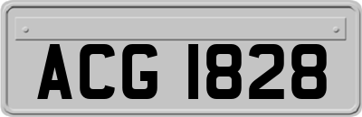 ACG1828