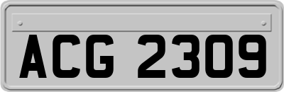 ACG2309