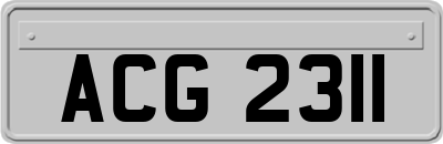 ACG2311