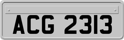 ACG2313