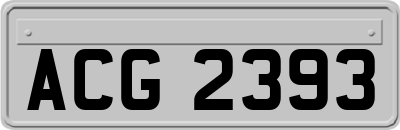 ACG2393