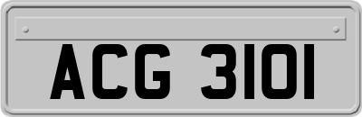 ACG3101