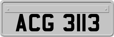 ACG3113