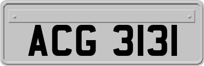 ACG3131