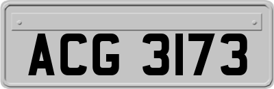 ACG3173