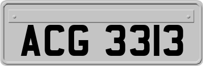 ACG3313