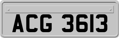 ACG3613