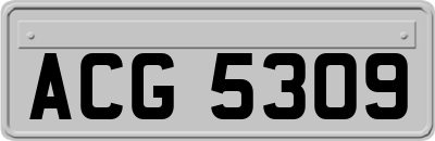 ACG5309