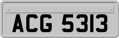 ACG5313