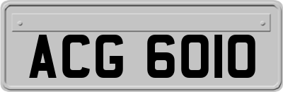 ACG6010