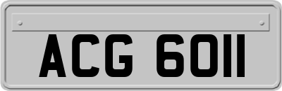 ACG6011
