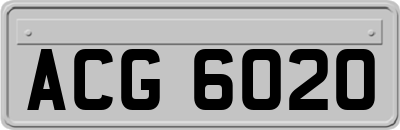 ACG6020