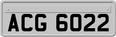 ACG6022