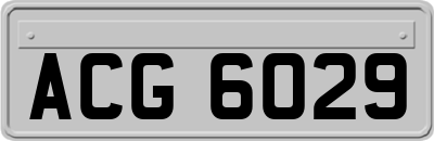 ACG6029