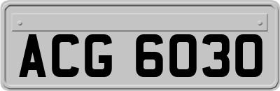 ACG6030