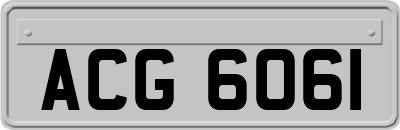 ACG6061