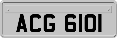ACG6101