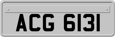 ACG6131