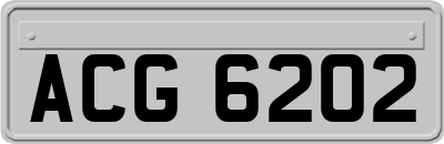 ACG6202