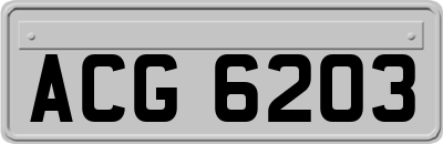 ACG6203