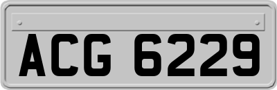 ACG6229