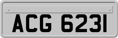ACG6231