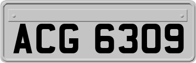 ACG6309
