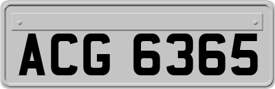 ACG6365
