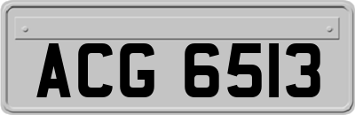 ACG6513