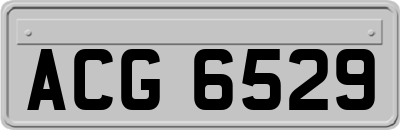 ACG6529