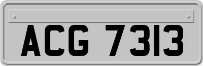 ACG7313