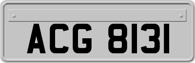 ACG8131