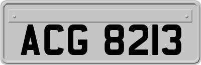ACG8213