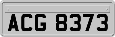 ACG8373