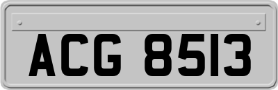ACG8513