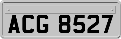 ACG8527