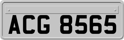 ACG8565