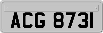 ACG8731