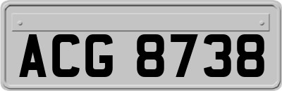 ACG8738