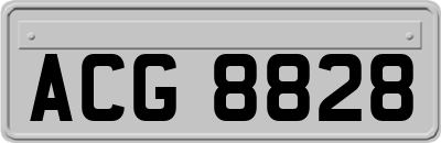 ACG8828