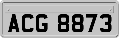 ACG8873