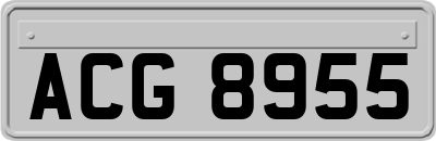 ACG8955