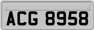 ACG8958
