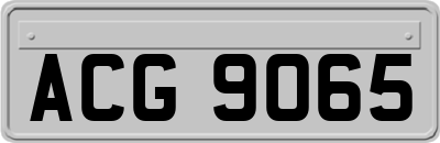 ACG9065