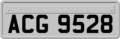 ACG9528
