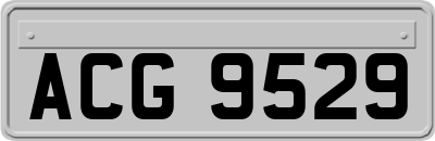 ACG9529