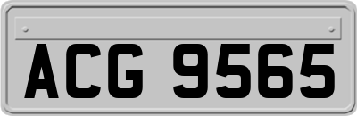 ACG9565