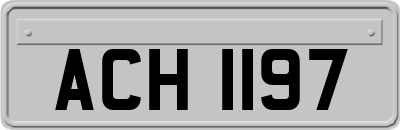 ACH1197